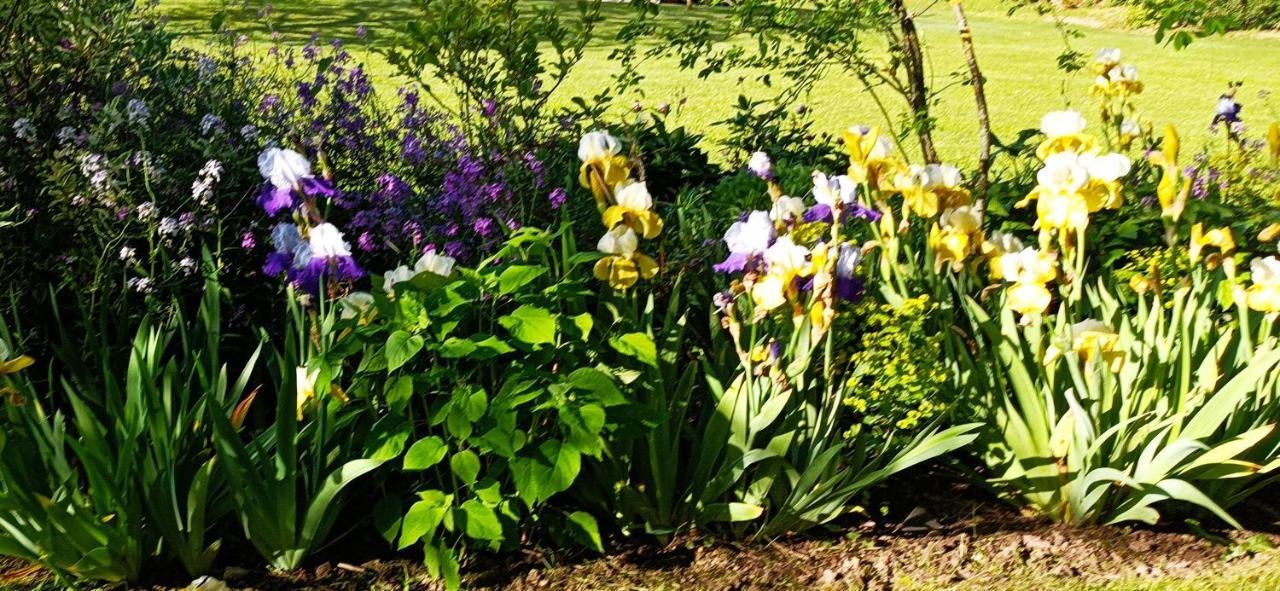 Chambre D'Hotes Au Jardin De La Bachellerie المظهر الخارجي الصورة