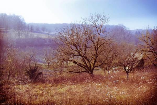 مبيت وإفطار Chambre D'Hotes Au Jardin De La Bachellerie المظهر الخارجي الصورة