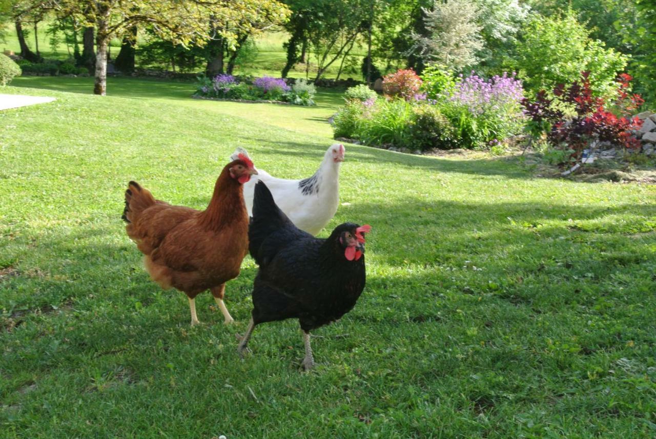 مبيت وإفطار Chambre D'Hotes Au Jardin De La Bachellerie المظهر الخارجي الصورة